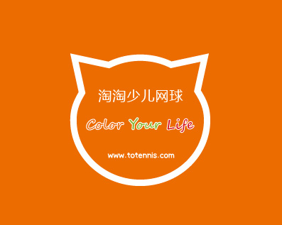 男子职业网球赛事分类